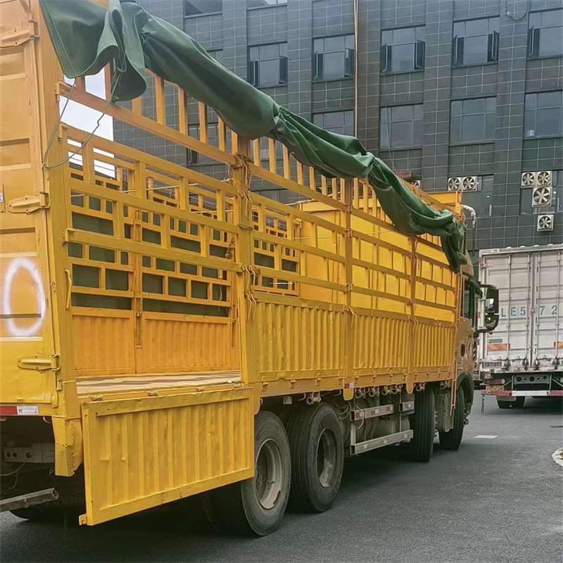 河北保定定州至宜宾货运专线一站式物流服务，让货物畅行无忧